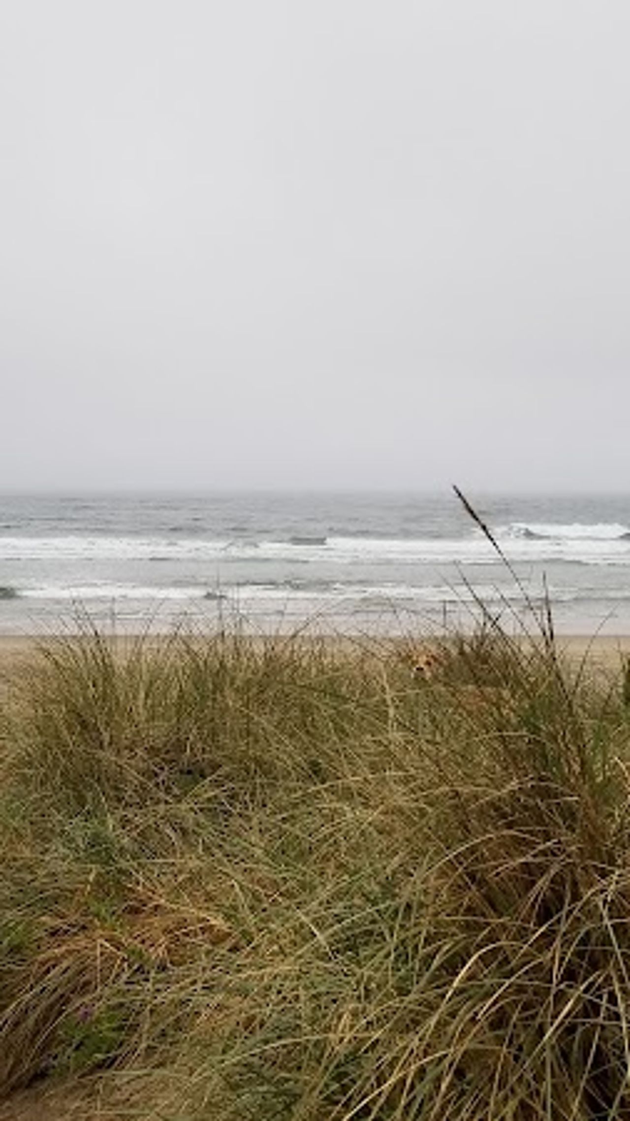 Photo of Silver Sands Motel