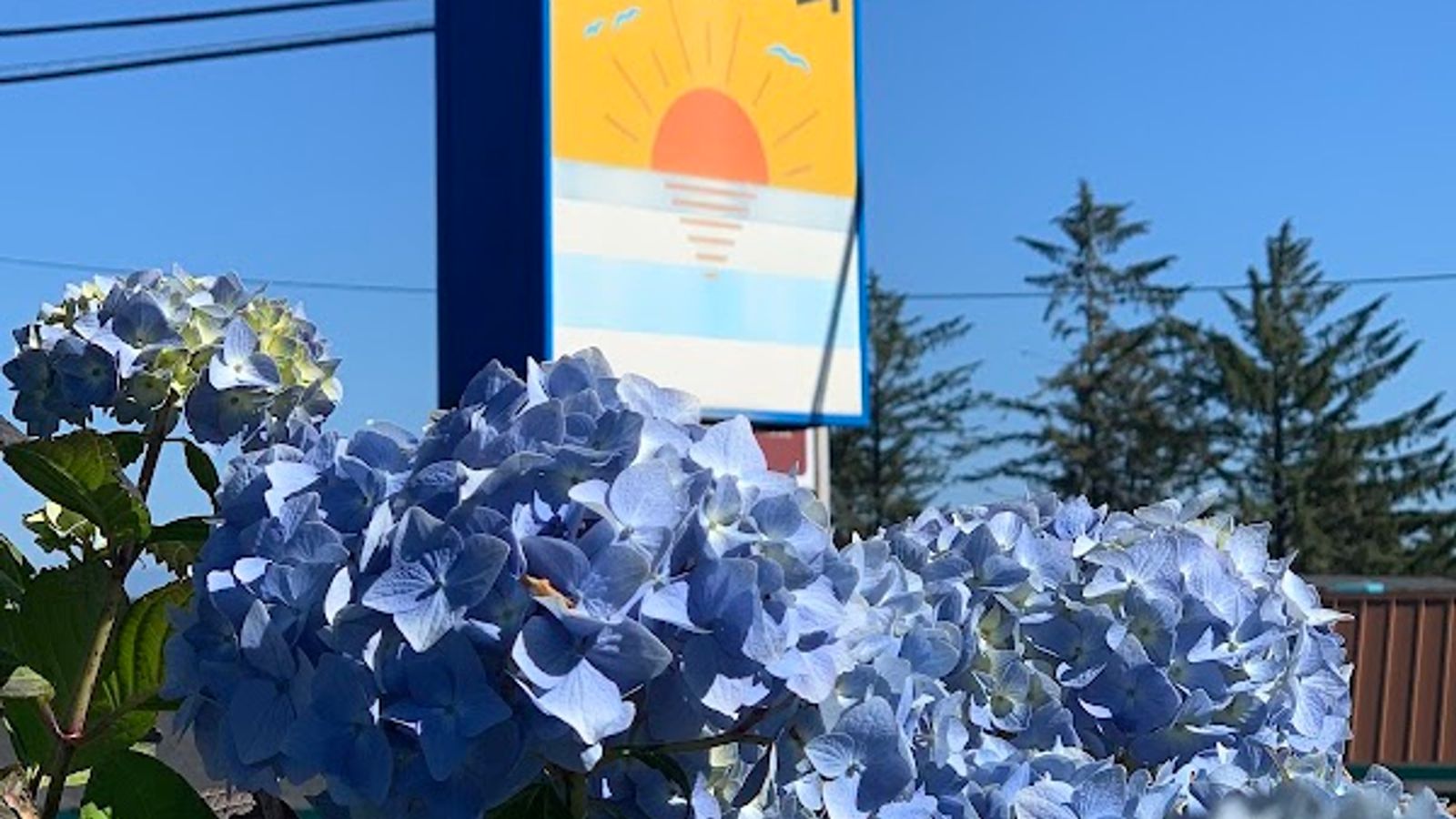 Photo of Pacific Sunset Inn