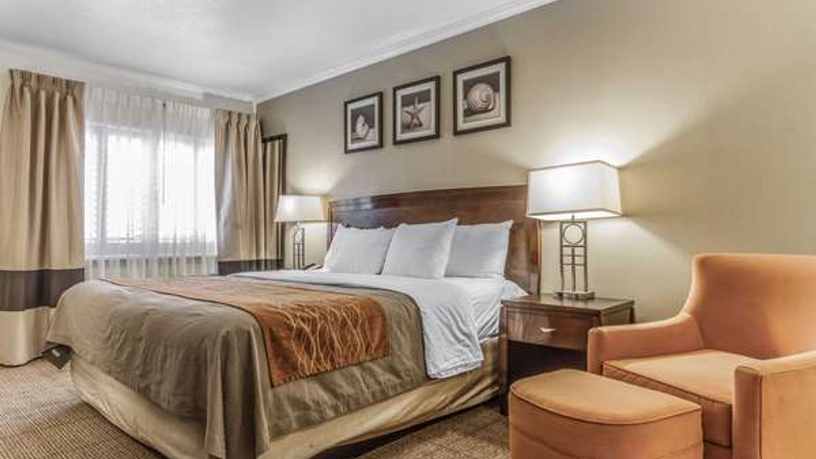 Photo of Comfort Inn Santa Cruz North