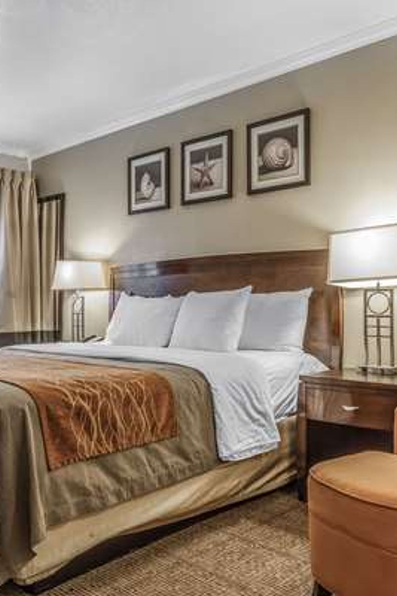 Photo of Comfort Inn Santa Cruz North