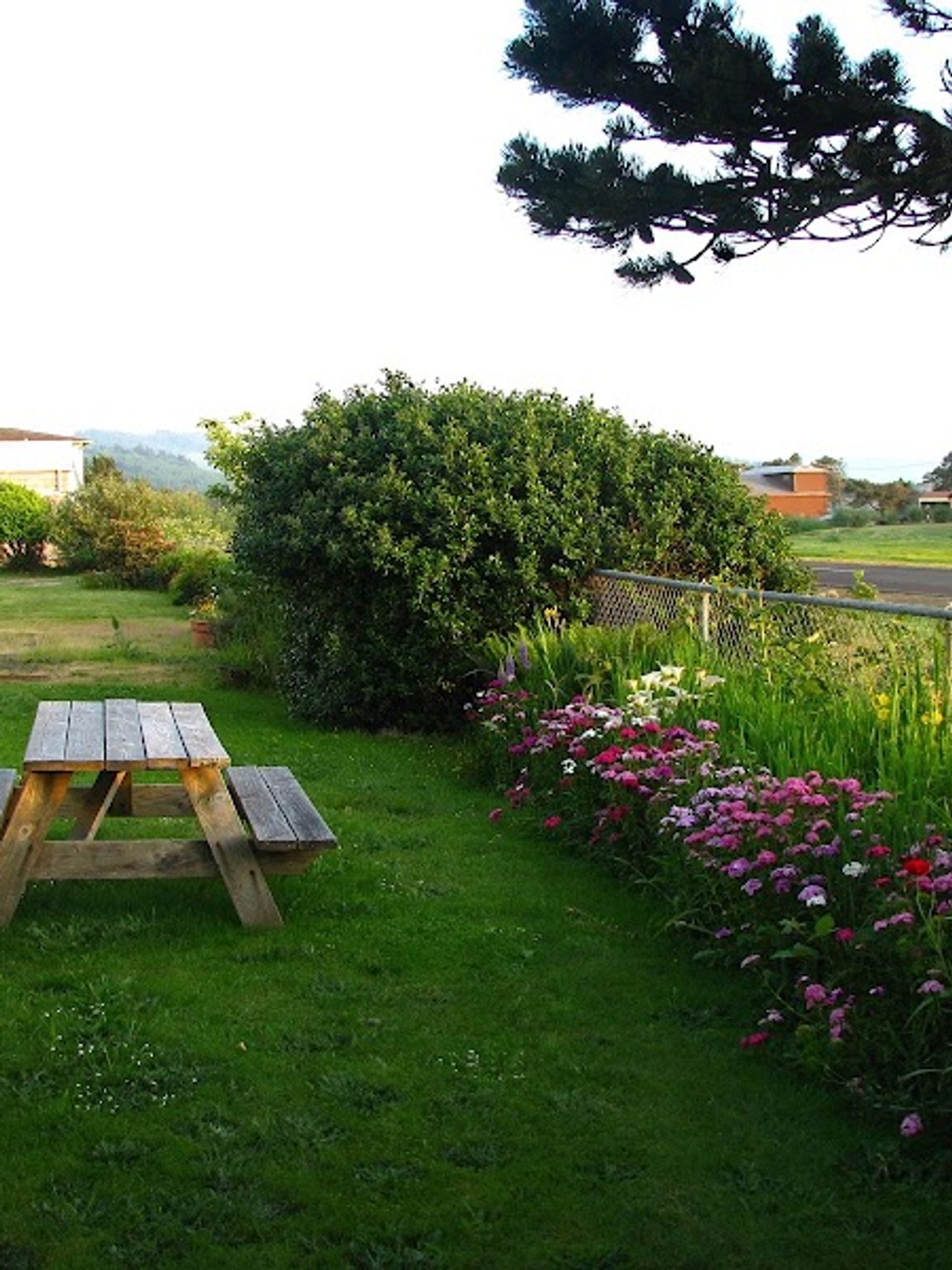 Photo of Pacific City Inn - Outdoor Seating Area