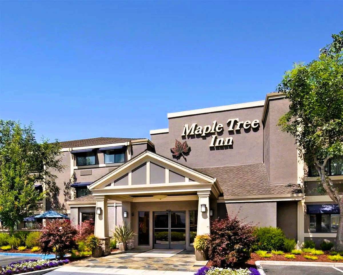 Maple Tree Inn