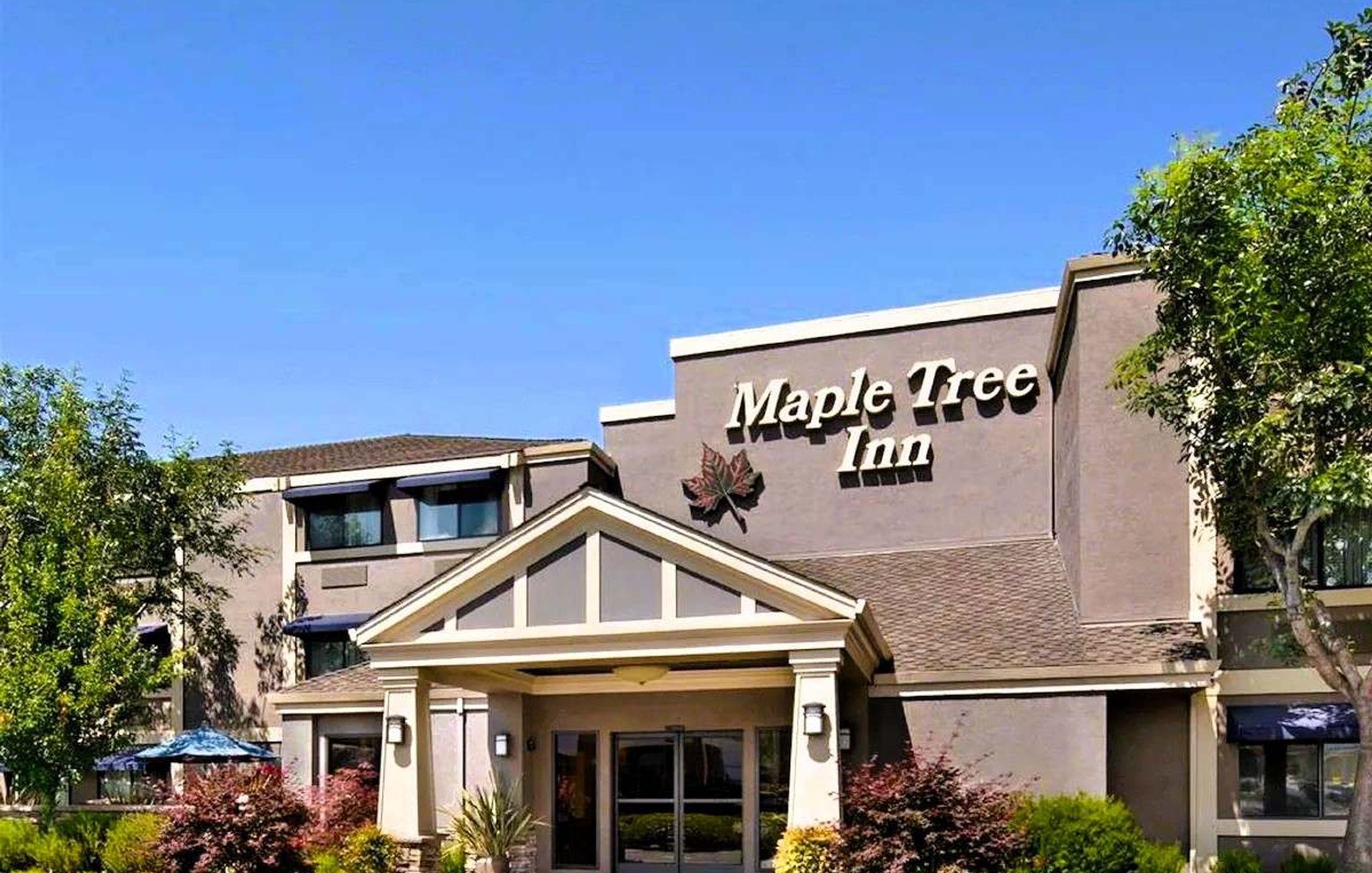 Maple Tree Inn