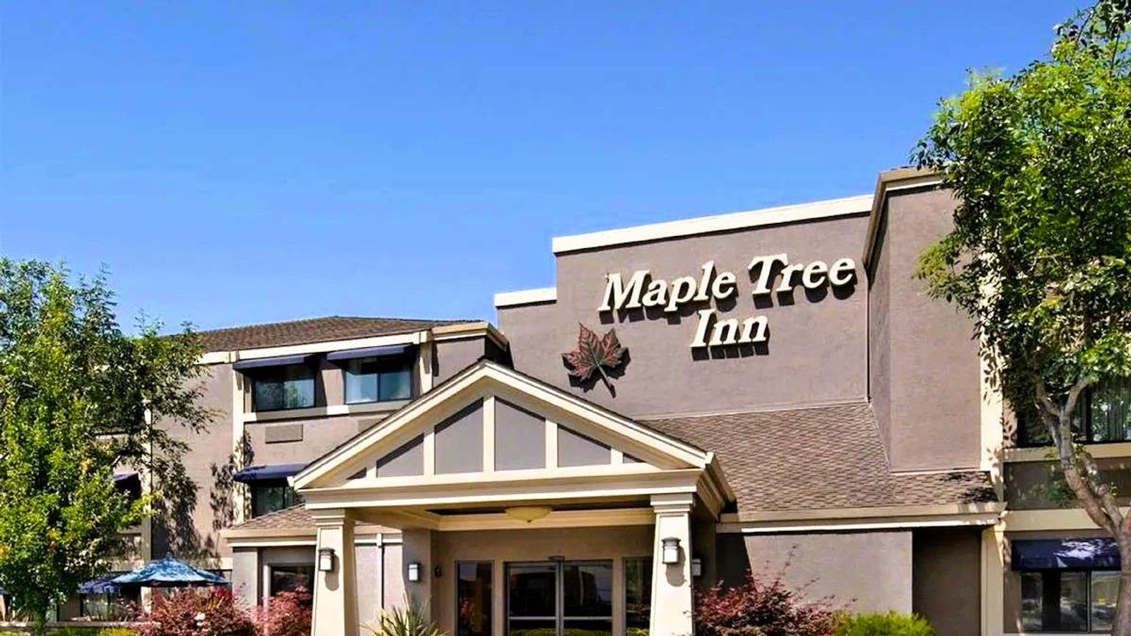 Maple Tree Inn