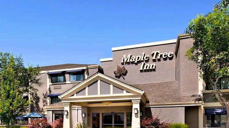 Maple Tree Inn