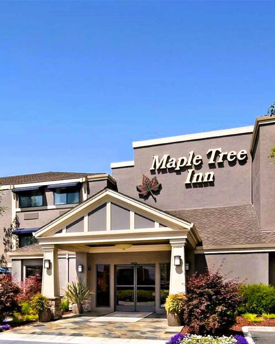 Maple Tree Inn