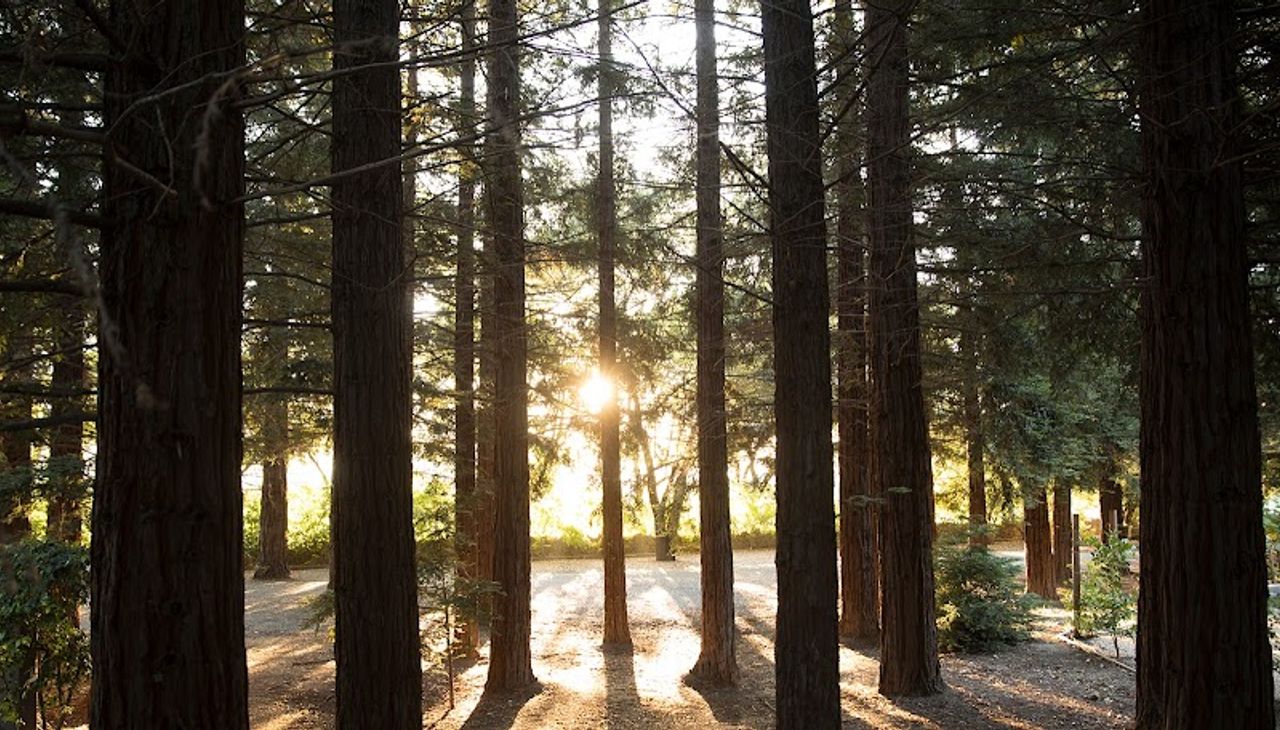 Photo of Harvest Inn