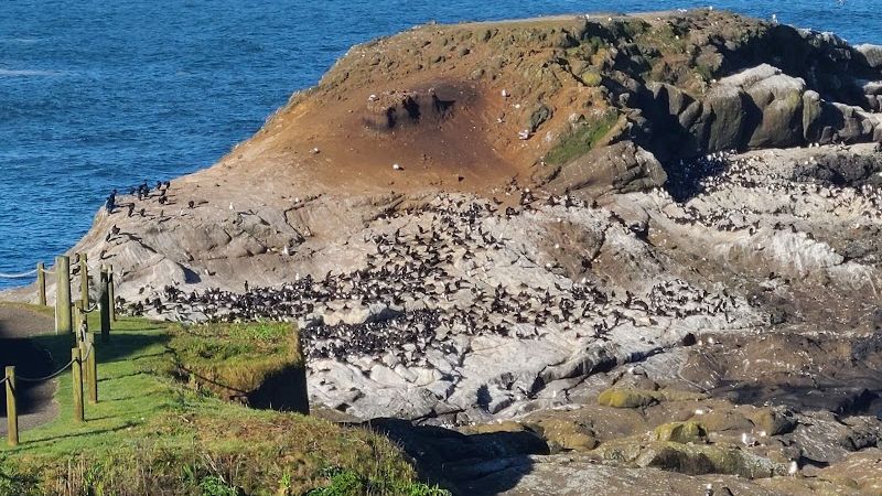 Photo of WorldMark Depoe Bay