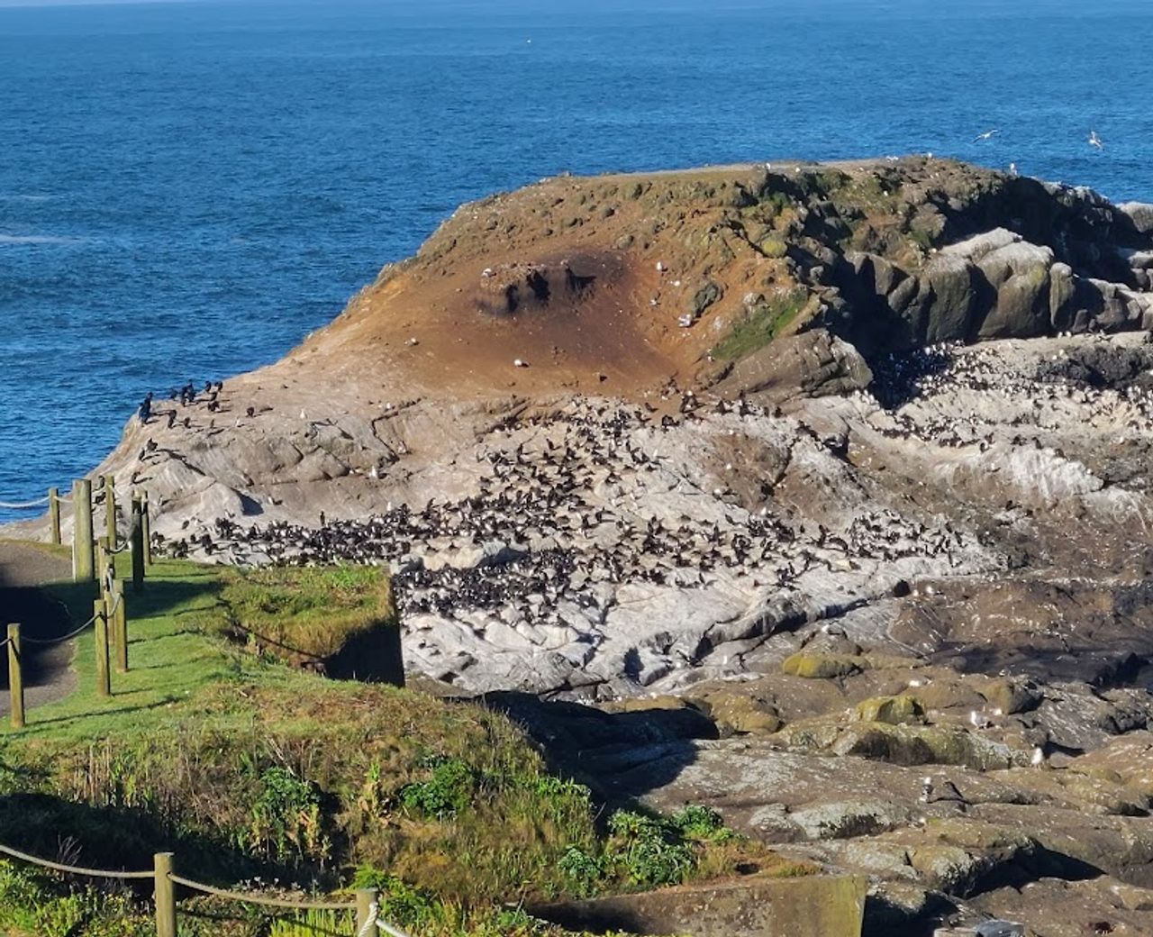 Photo of WorldMark Depoe Bay