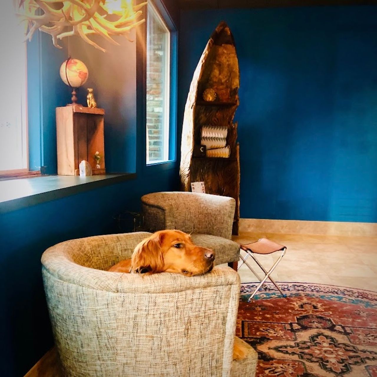 Photo of Maverick Hotel Eugene Near University, Ascend Hotel Collection - Pet Friendly