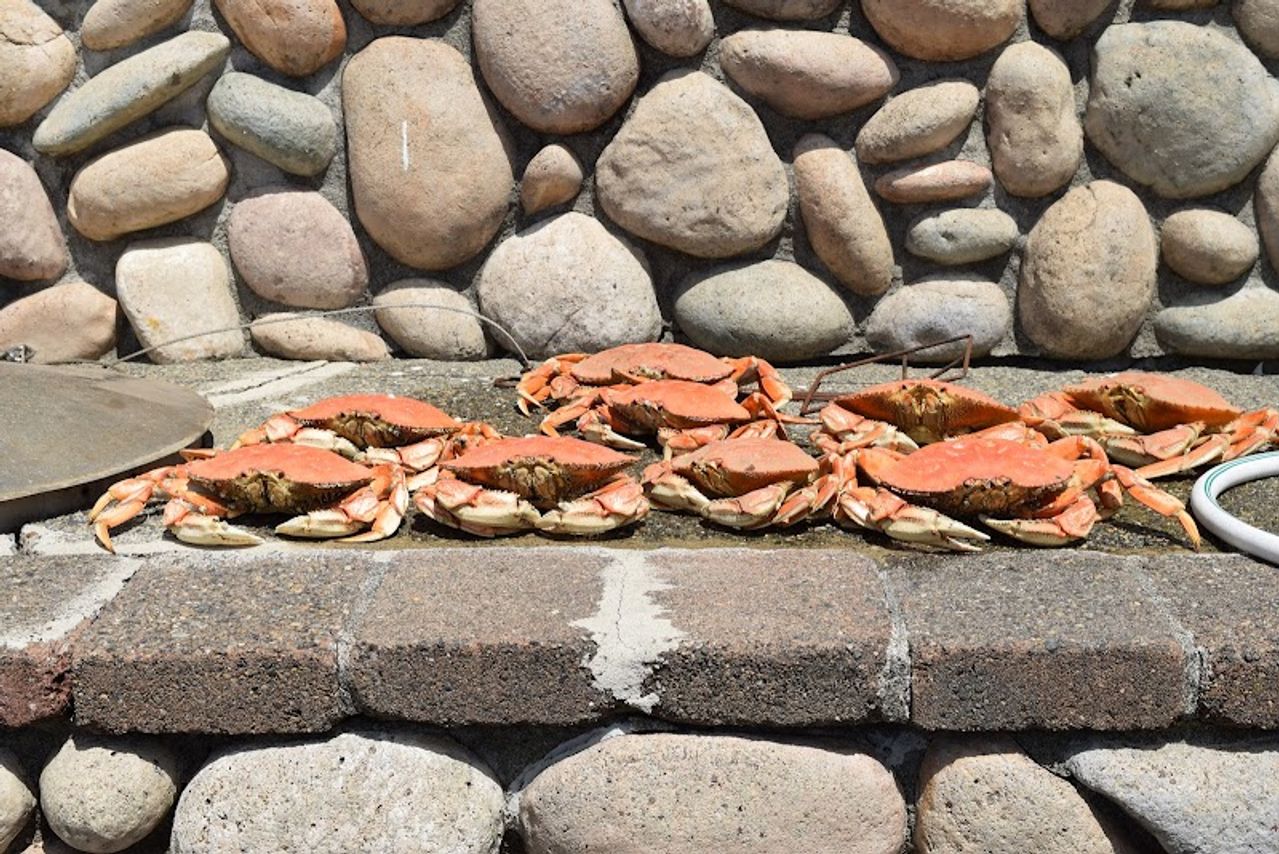 Photo of The Landing At Newport