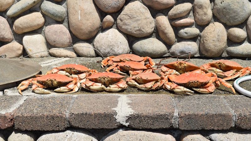 Photo of The Landing At Newport