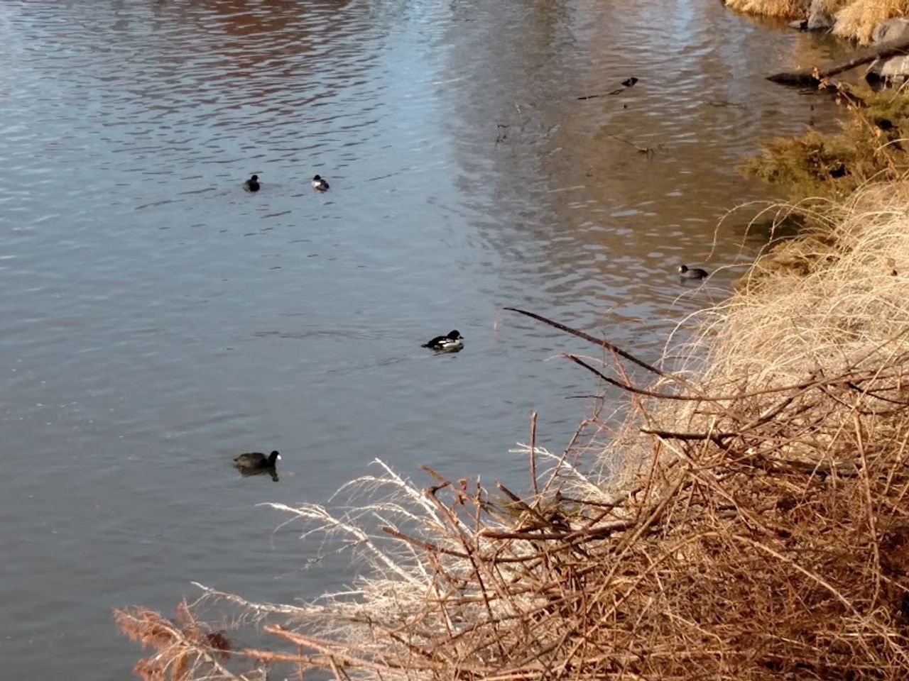 Photo of River Park Inn