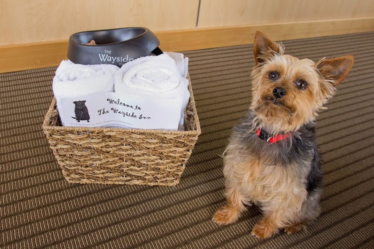 Photo of The Wayside Inn