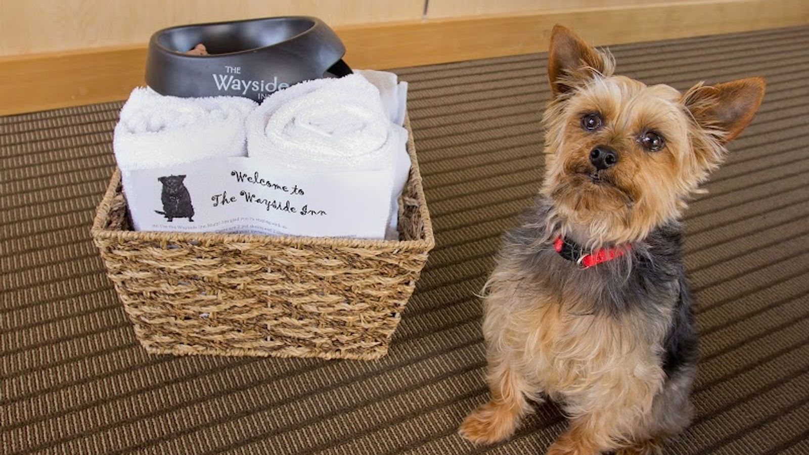 Photo of The Wayside Inn