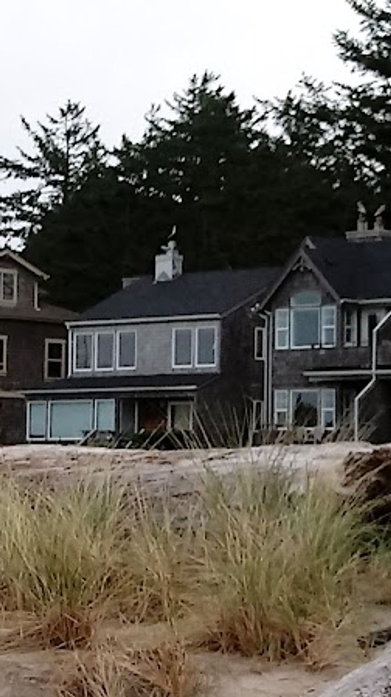 Photo of The White Heron Lodge