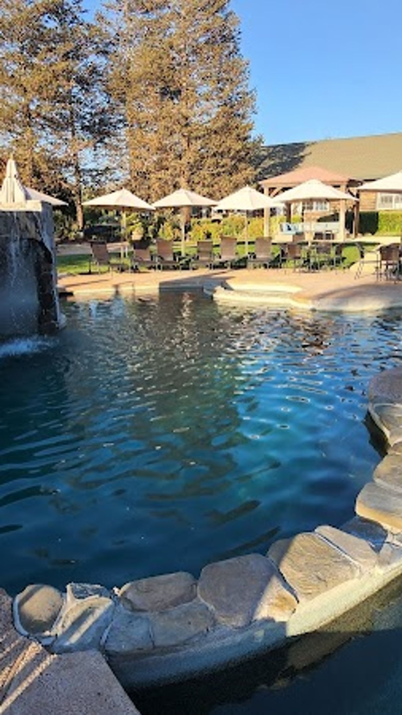 Photo of The Purple Orchid | Wine Country Resort & Spa