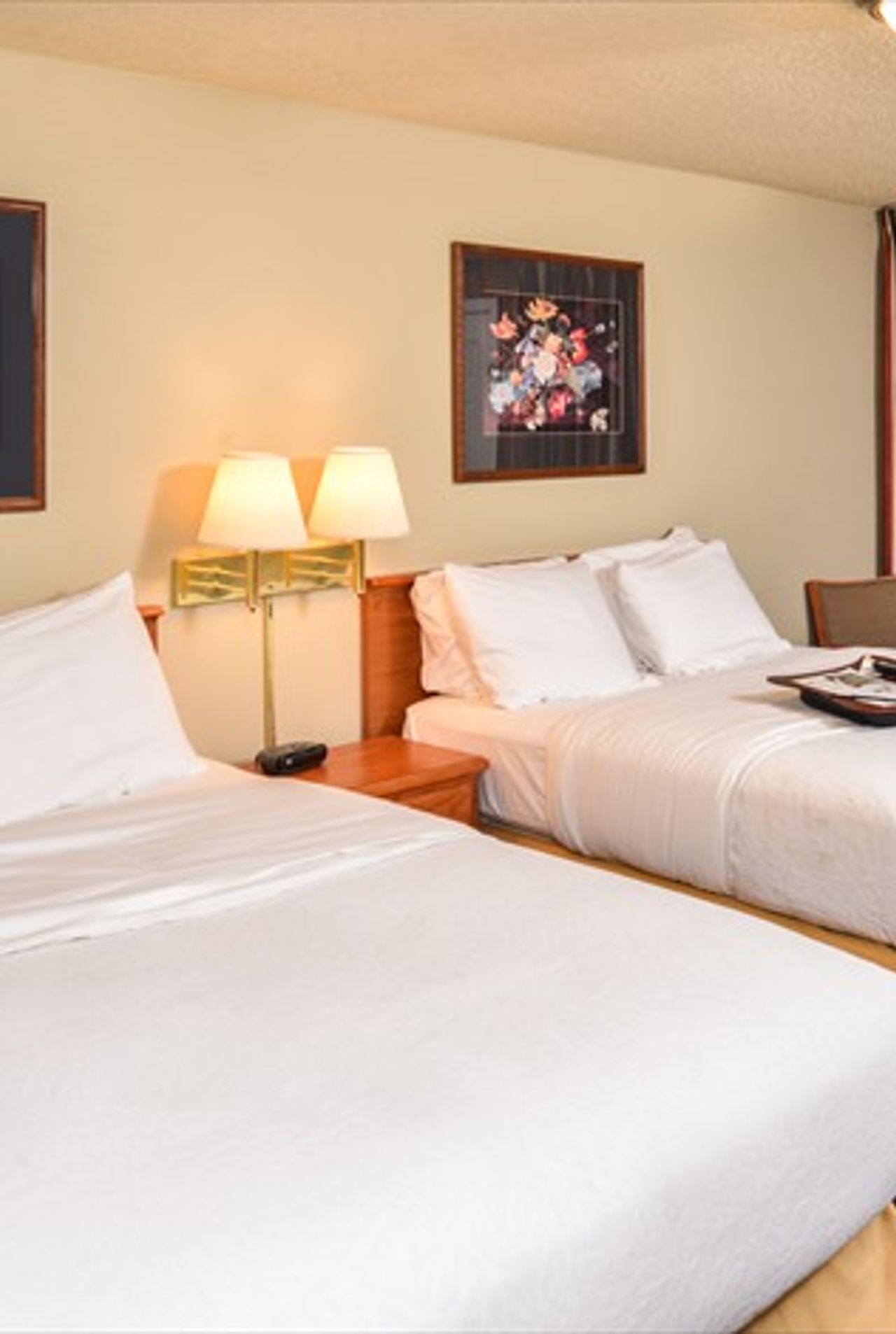 Photo of Courtesy Inn Eugene - Room, 2 Queen beds