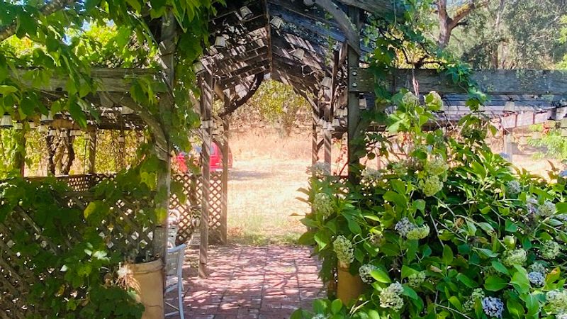 Photo of Bear Flag Inn