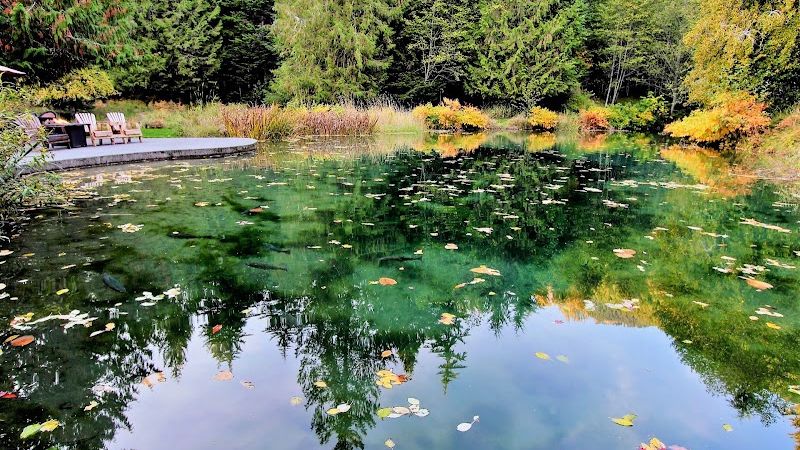 Photo of Alexander's Lodge At Mt Rainier