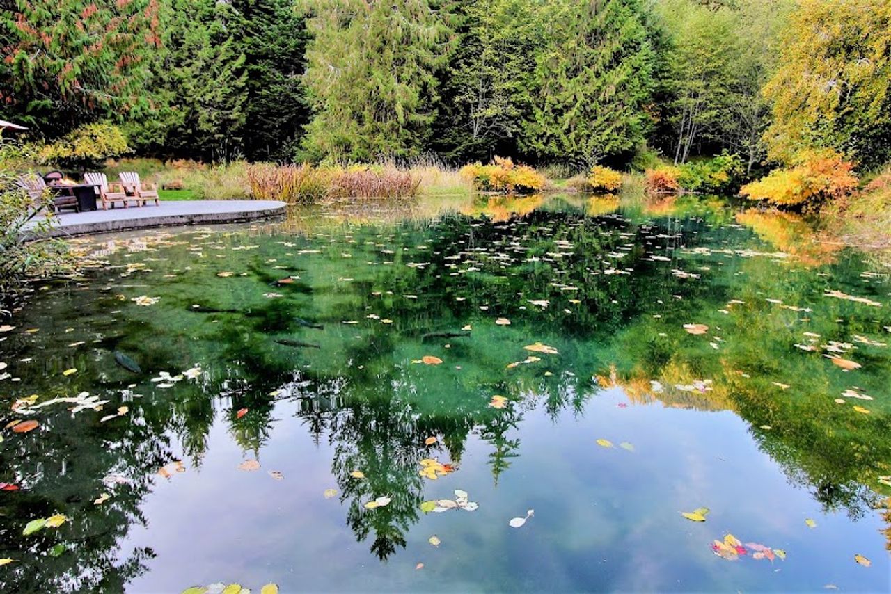 Photo of Alexander's Lodge At Mt Rainier