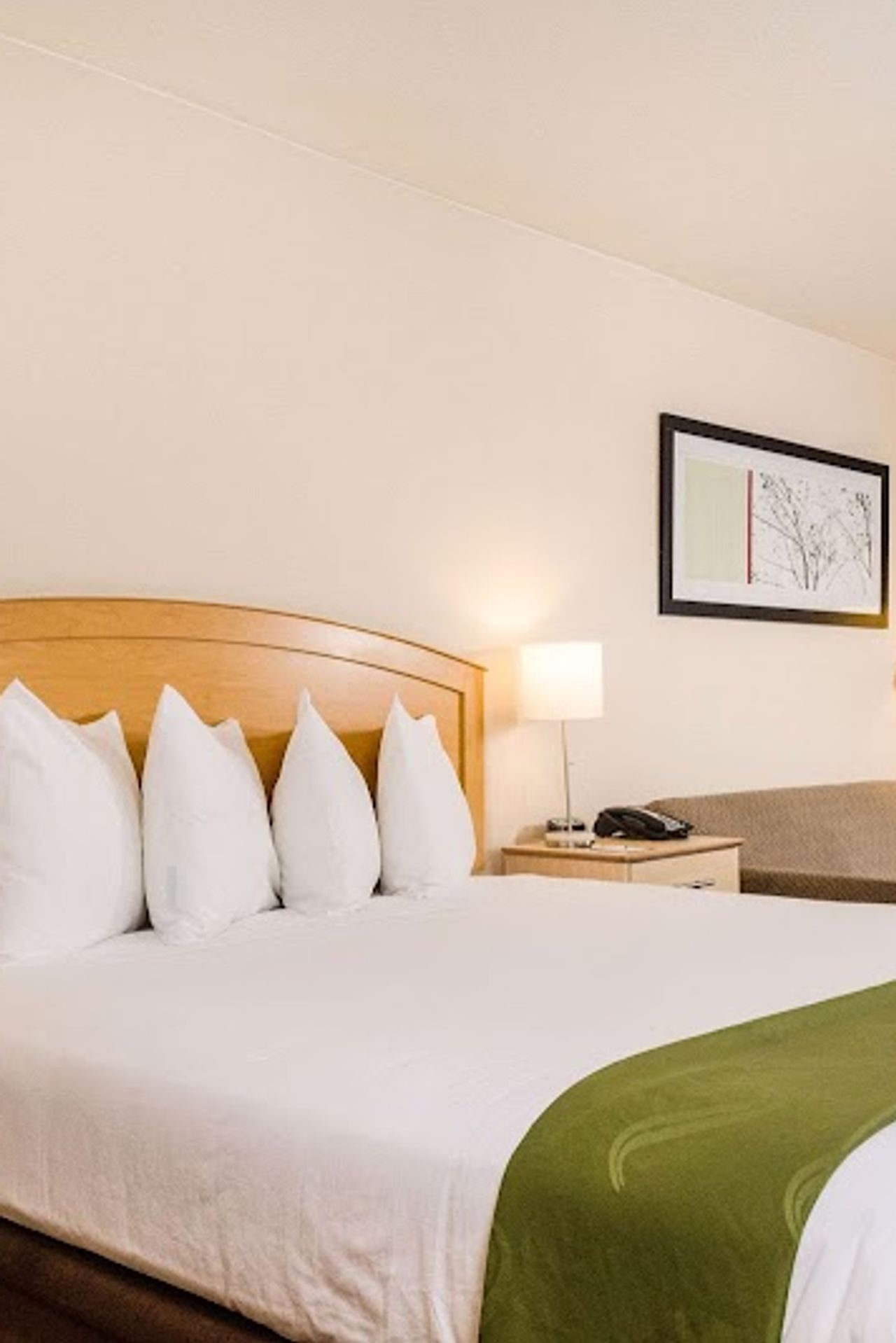 Photo of Quality Inn & Suites Lathrop
