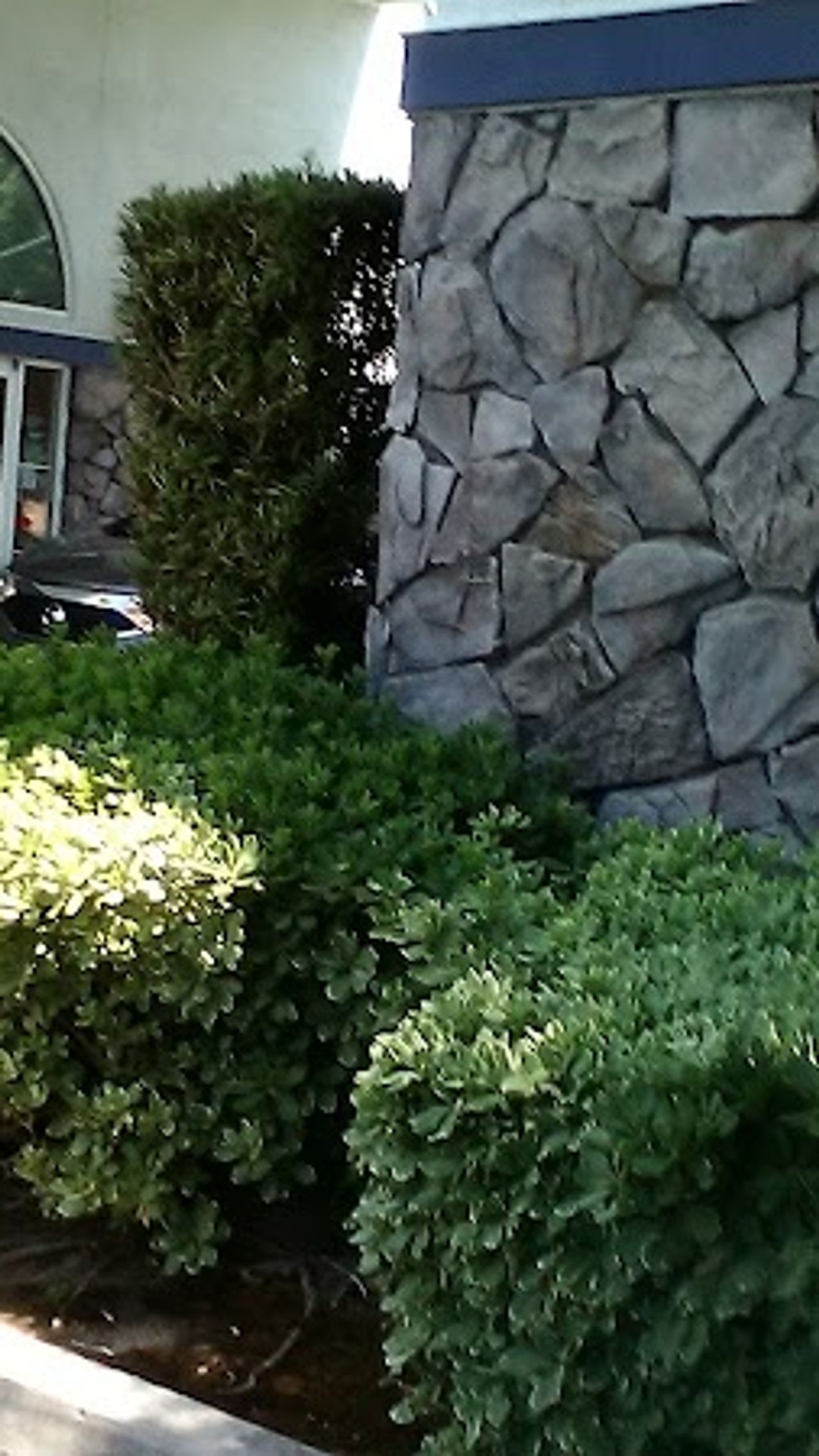 Photo of Quality Inn Fresno Yosemite Airport