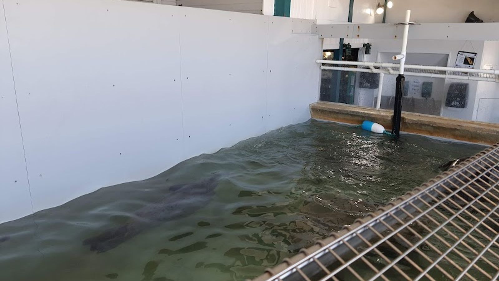 Photo of The Ocean Front at Seaside