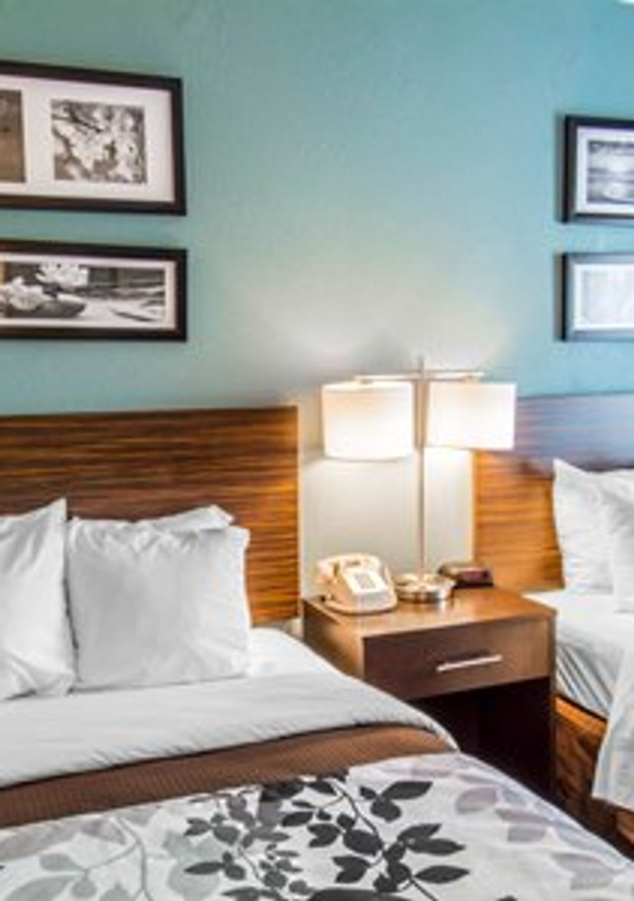 Photo of Sleep Inn near Washington State Line