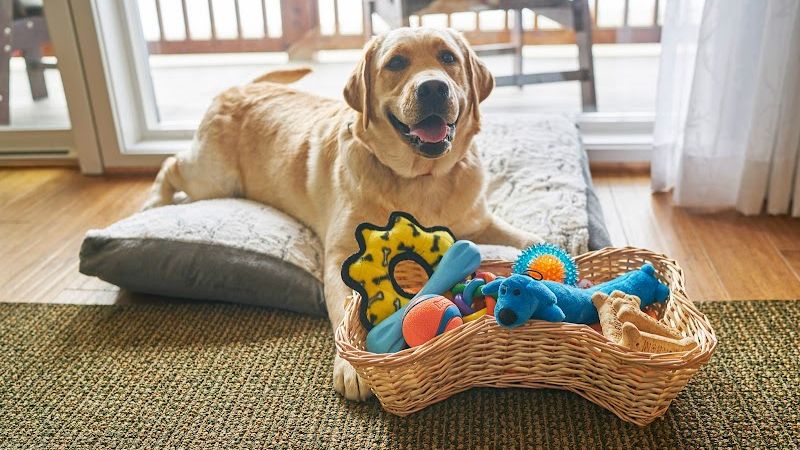 Photo of Surfsand Resort