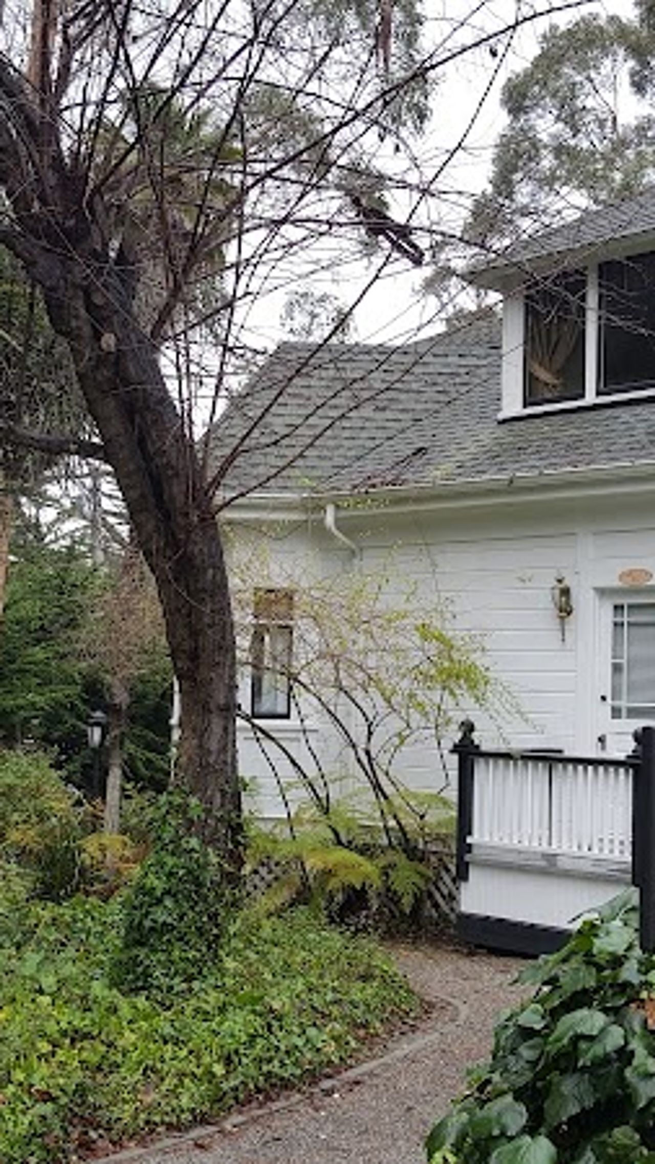 Photo of Monarch Cove Inn
