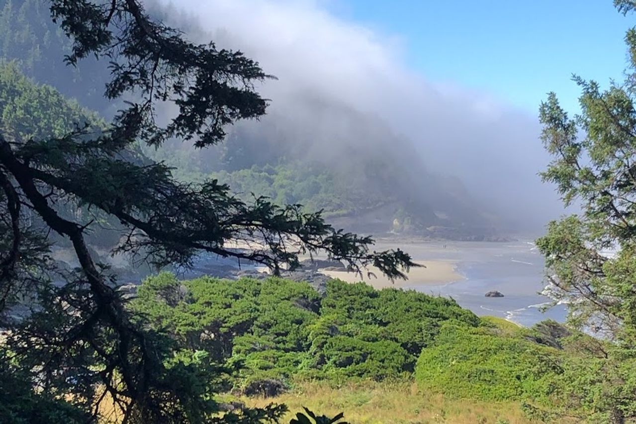 Photo of Overleaf Lodge