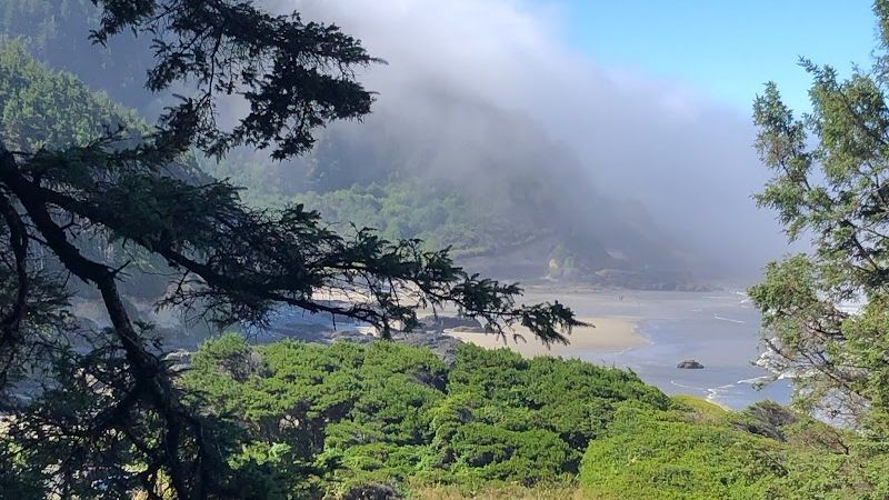 Photo of Overleaf Lodge