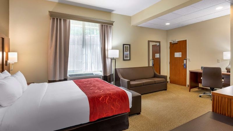 Photo of Comfort Suites Eugene - Room, King bed, Sofa, Work desk