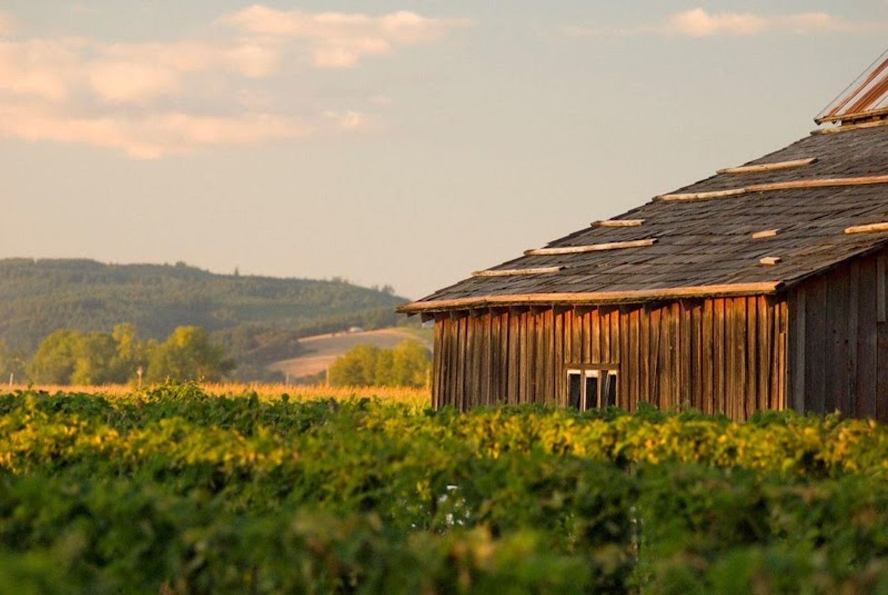 Photo of Staybridge Suites Hillsboro North, an IHG Hotel