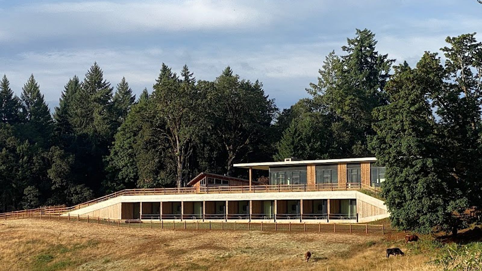 Photo of Inn the Ground