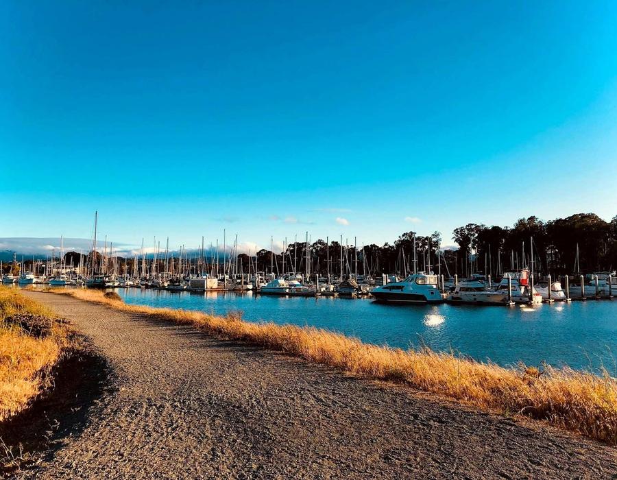 Yachts at Coyote Point Yacht Harbor, San Mateo, CA, USA
