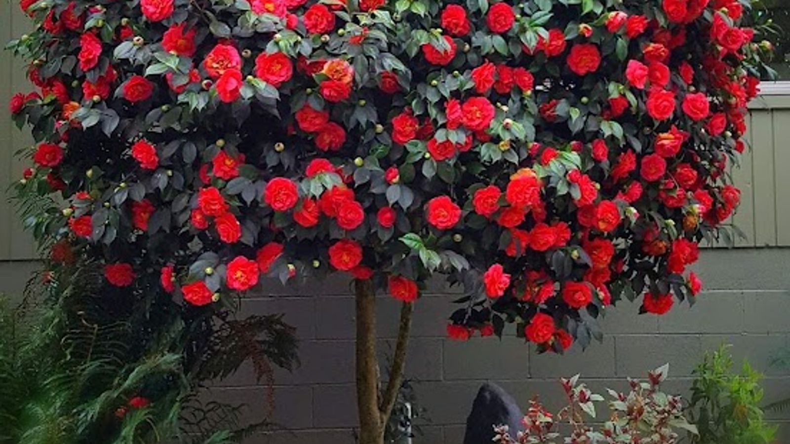 Photo of Endicott Gardens Bed & Breakfast and Spa