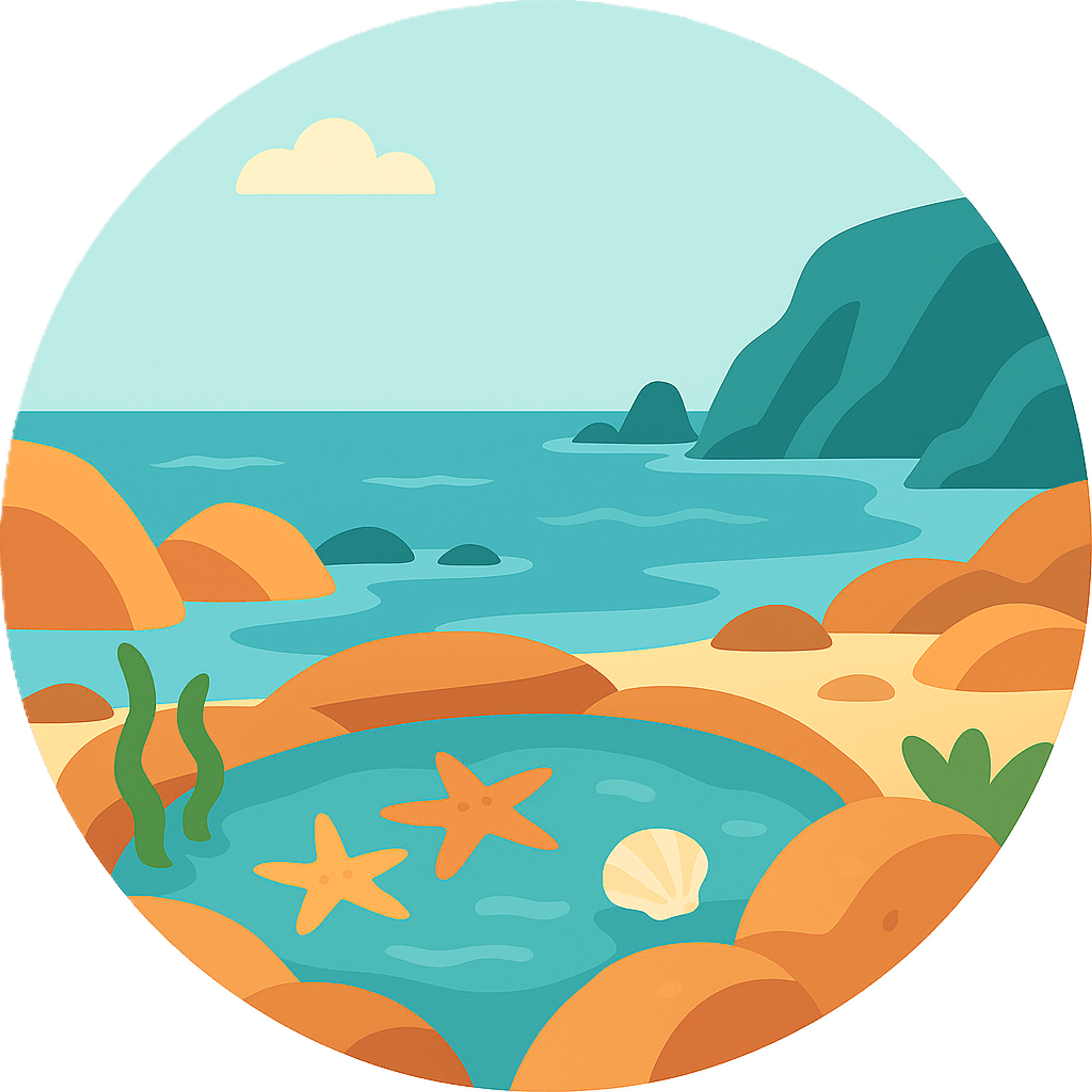 Tide Pooling, Beachcombing, Beach, North Pacific