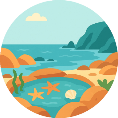 Tide Pooling, Beachcombing, Beach, North Pacific