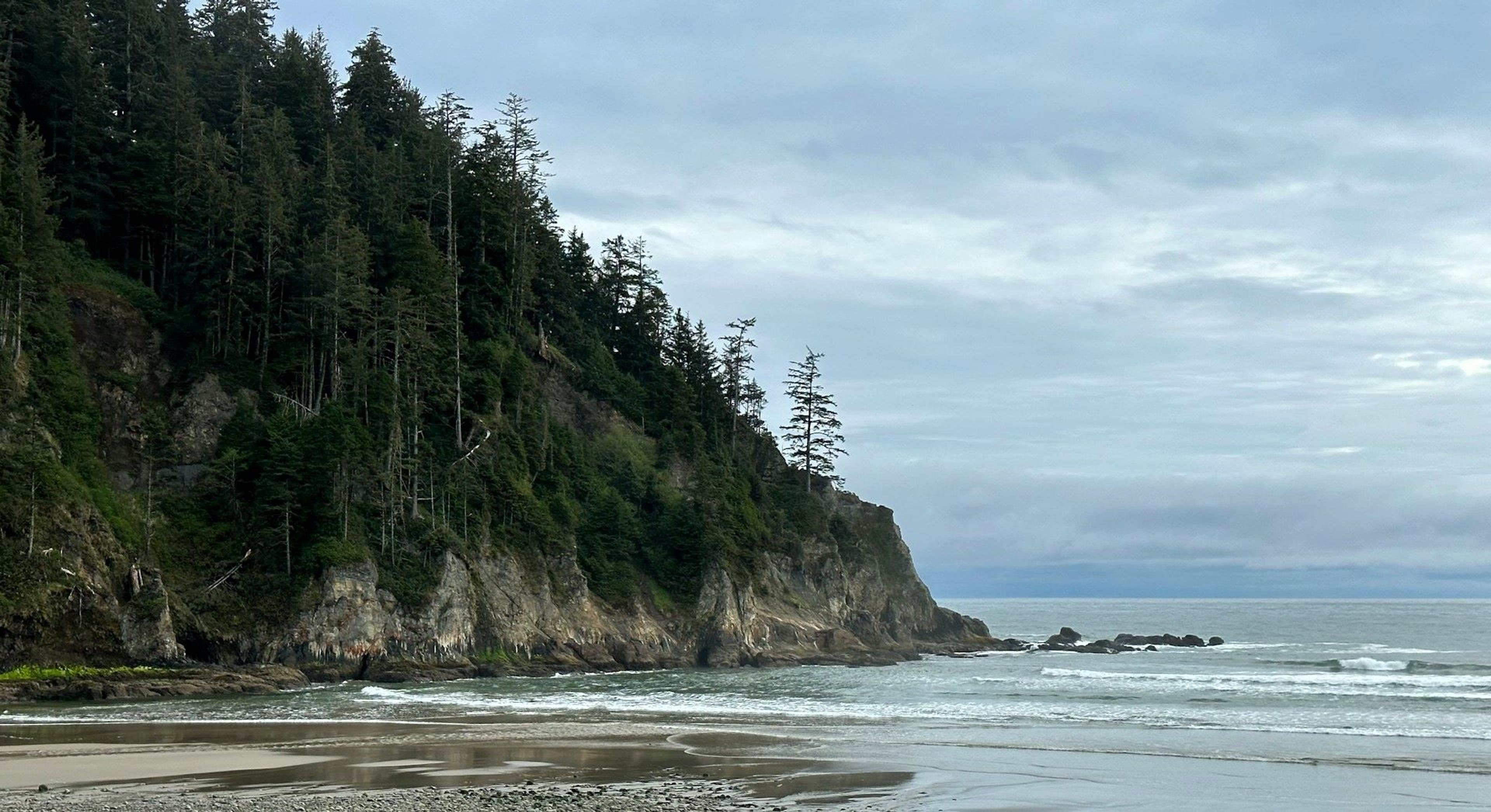 Oregon Coast Meets Beach at Oswald West State Park, Arch Cape, OR, USA