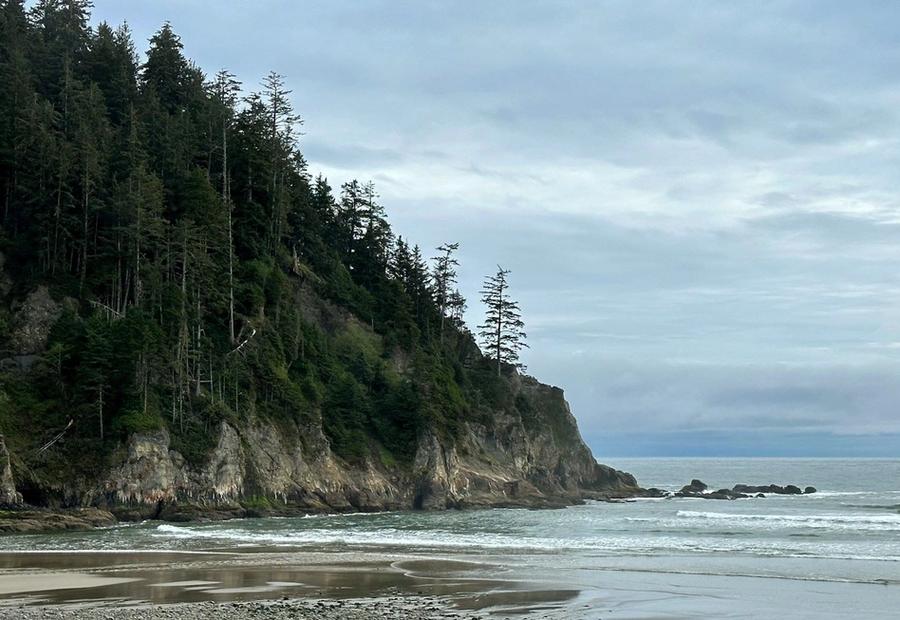 Oregon Coast Meets Beach at Oswald West State Park, Arch Cape, OR, USA