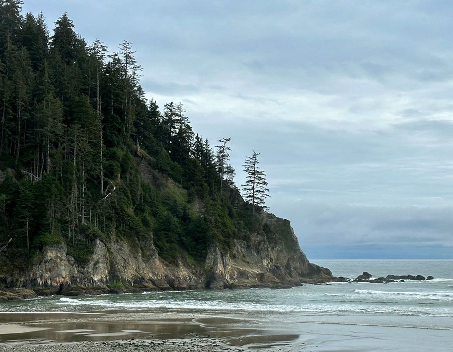Oregon Coast Meets Beach at Oswald West State Park, Arch Cape, OR, USA