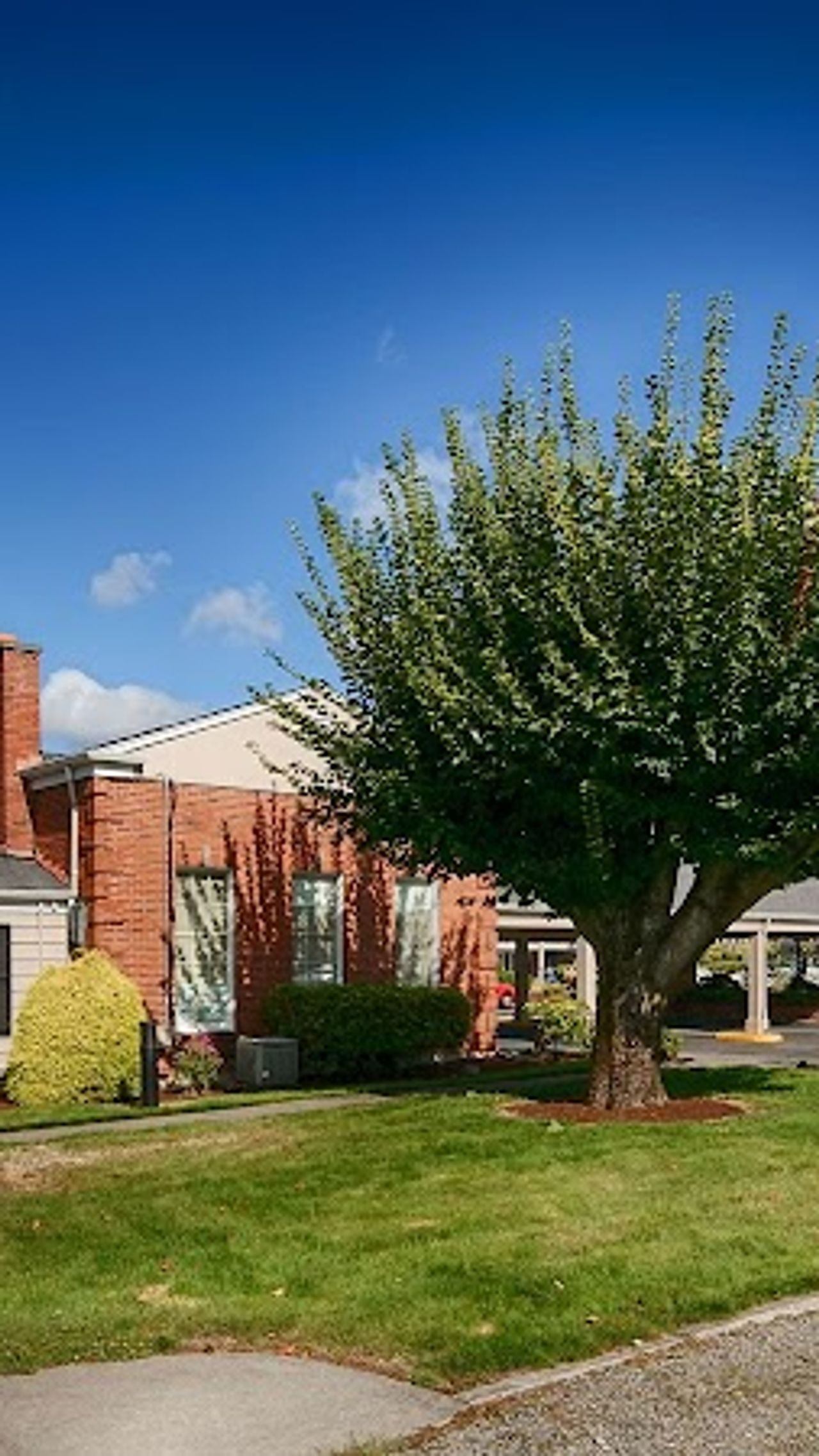 Photo of Best Western Lakewood