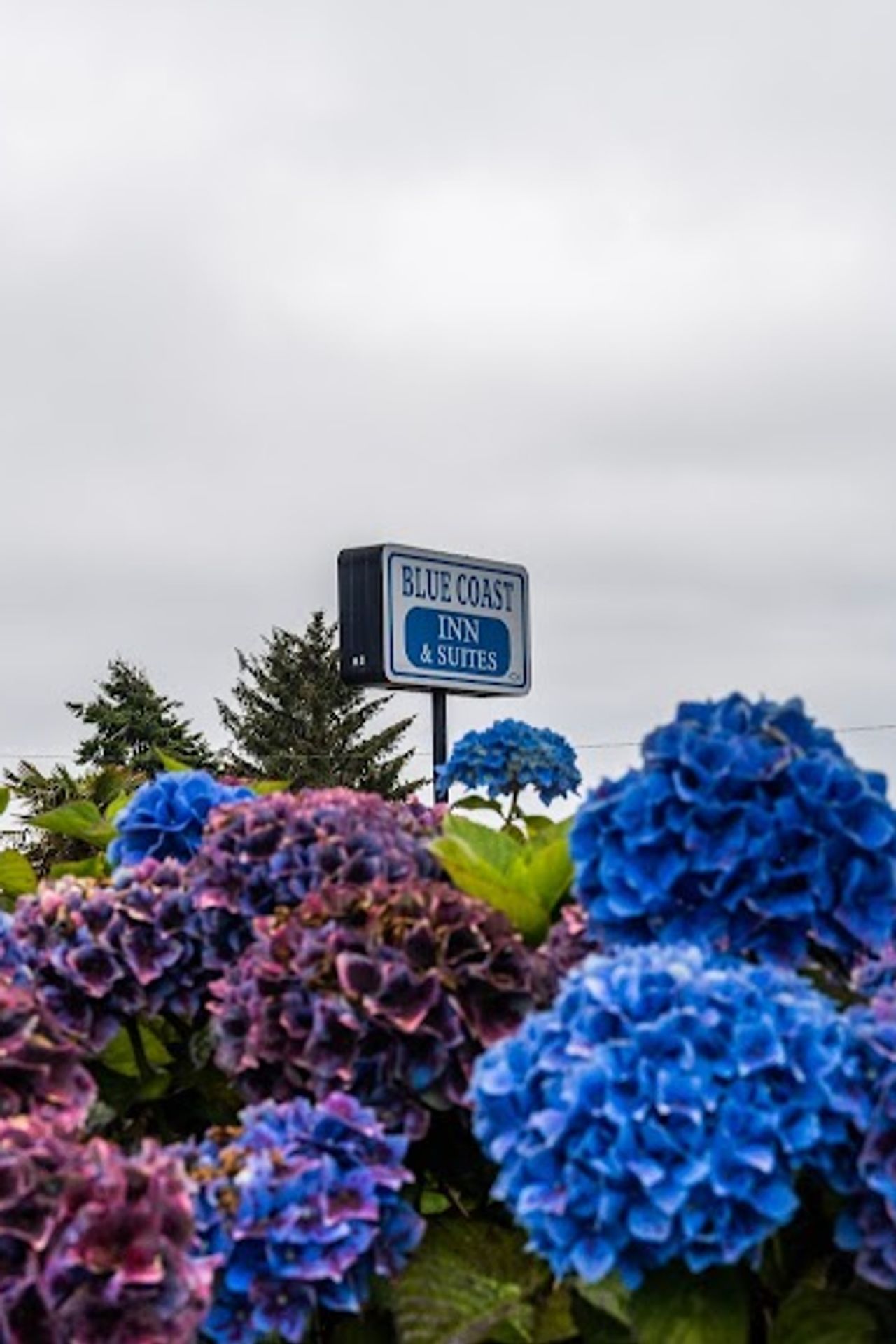 Photo of Blue Coast Inn & Suites