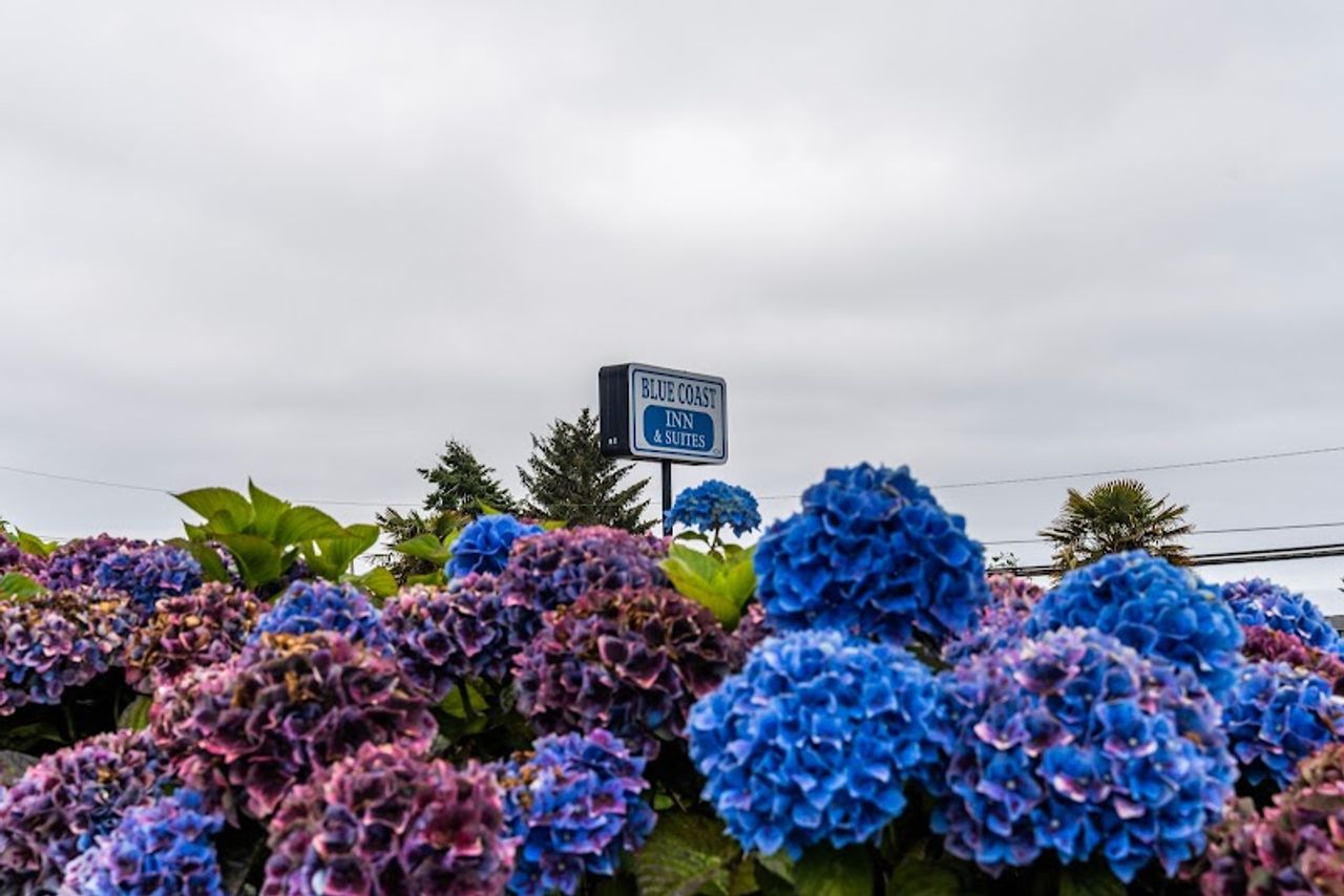 Photo of Blue Coast Inn & Suites