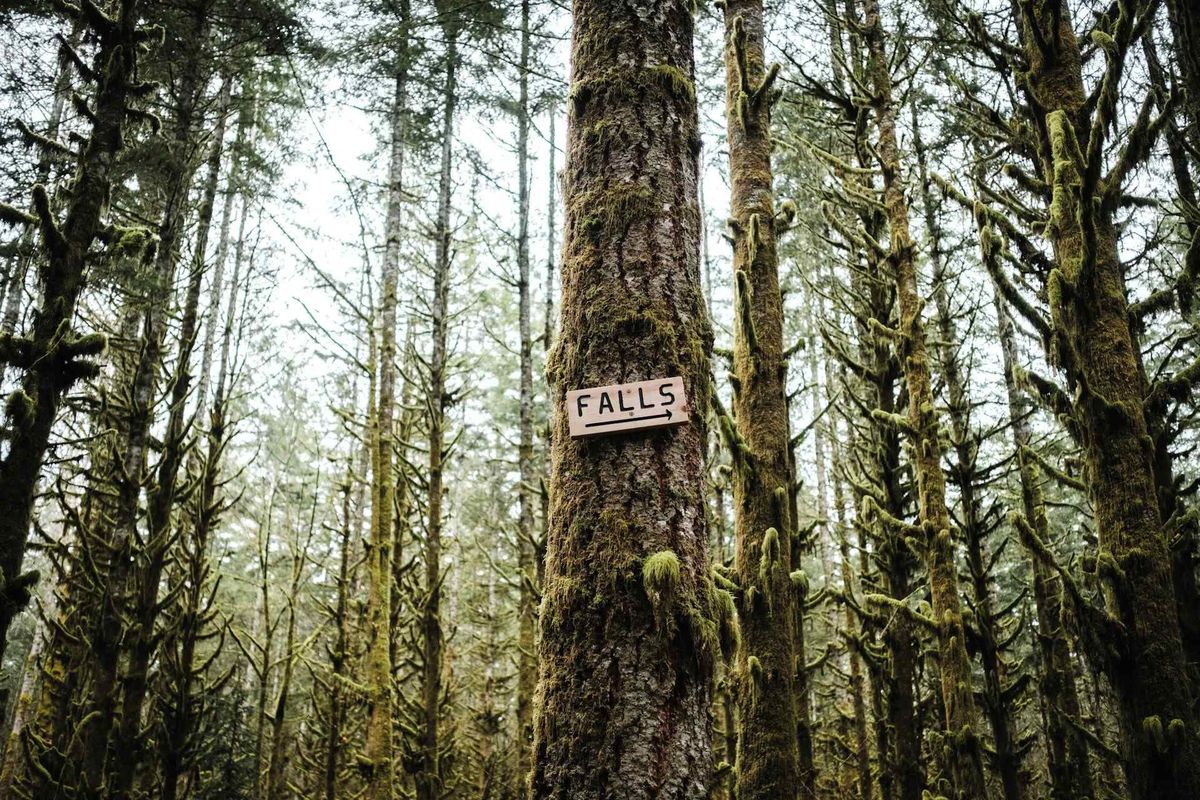 A wood sign points the way on a hike to a local waterfall near Woodinville, Washington.