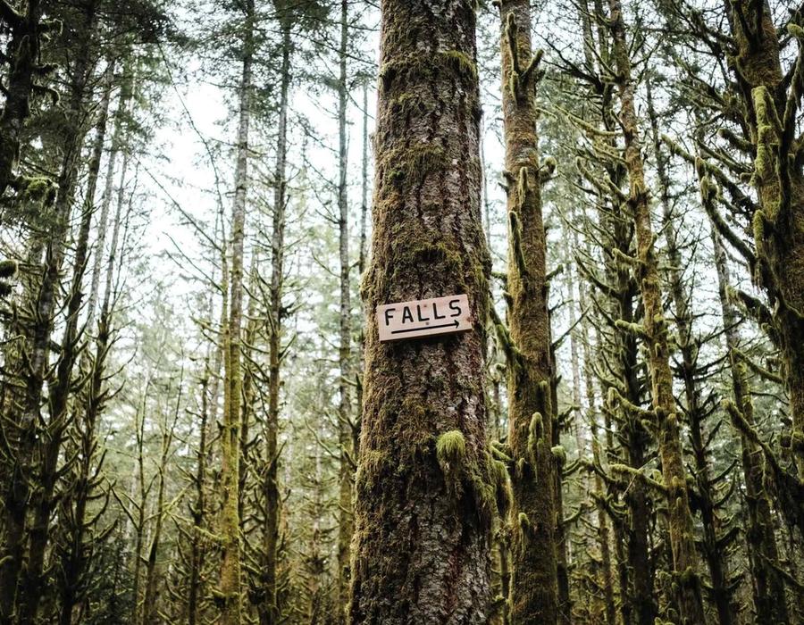 A wood sign points the way on a hike to a local waterfall near Woodinville, Washington.
