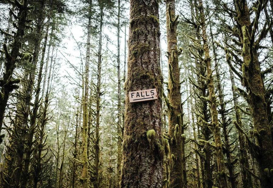 A wood sign points the way on a hike to a local waterfall near Woodinville, Washington.