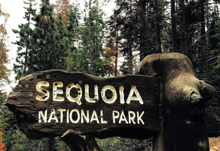 Sequoia National Park near Visalia, California, USA